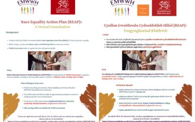 Race Equality Action Plan (REAP): A Virtual Consultation｜Cynllun Gweithredu Cydraddoldeb Hiliol (REAP): Ymgynghoriad Rhithwir